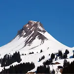 Boutique Mittagspitze Superior Ξενοδοχείο Damüls