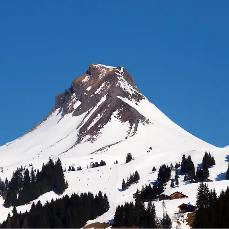 Boutique Mittagspitze Superior Hotel Damuels
