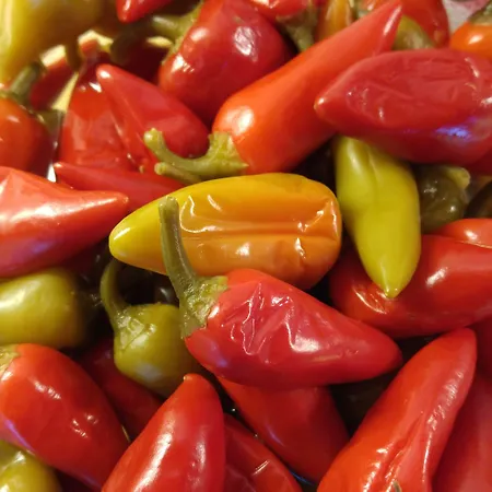 Boutique Mittagspitze Superior Hotel 4*